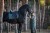 czaprak ujeżdżeniowy sycamore green equestrian stockholm  (2).jpg