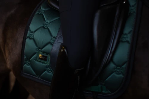 czaprak ujeżdżeniowy sycamore green equestrian stockholm  (2).webp