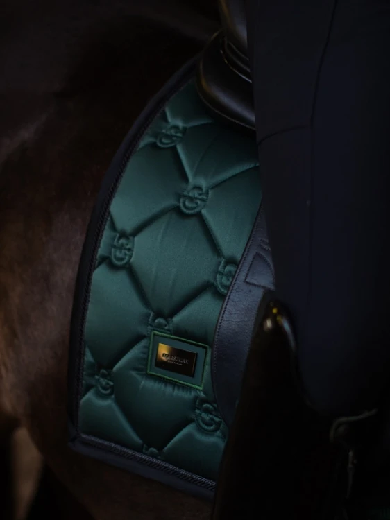 czaprak ujeżdżeniowy sycamore green equestrian stockholm  (3).webp