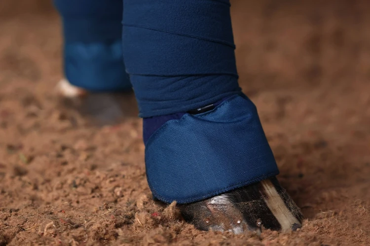 podkładki pod owijki granatowe equestrian stockholm  (3).webp