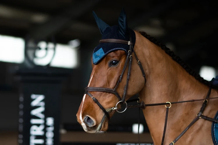nauszniki granatowe equestrian stockholm  (3).webp