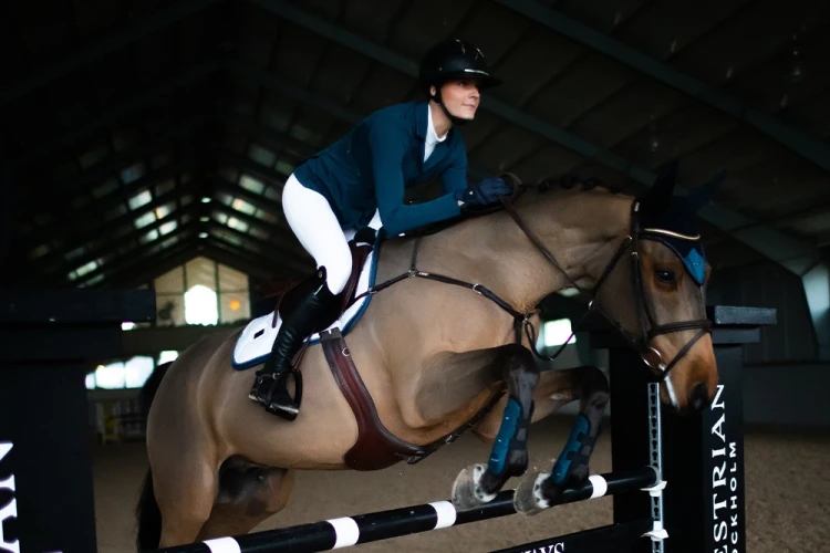 czaprak biały skokowy equestrian stockholm  (4).webp