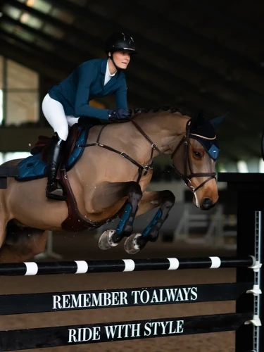 blue_meadow_glimmer skokowy  equestrian stockholm  (2).webp