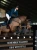 blue_meadow_glimmer skokowy  equestrian stockholm  (2).webp