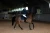 blue_meadow_glimmer skokowy  equestrian stockholm  (4).webp