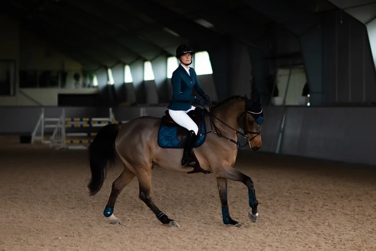 blue_meadow_glimmer skokowy  equestrian stockholm  (4).webp
