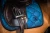 blue_meadow_glimmer skokowy  equestrian stockholm  (5).webp