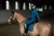 blue_meadow_glimmer czaprak ujeżdżeniowy  (4).webp