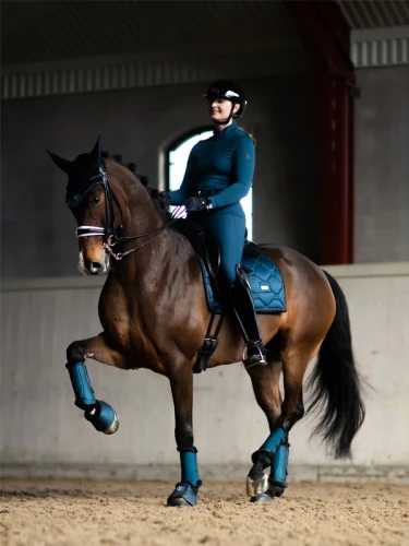 czaprak ujeżdżeniowy granatowy equestrian stockholm  (2).webp