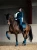 czaprak ujeżdżeniowy granatowy equestrian stockholm  (2).webp