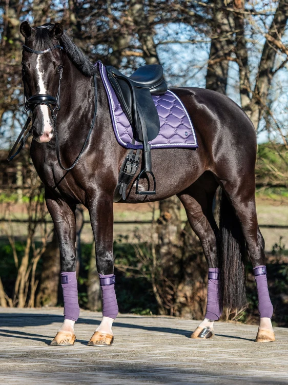 owijki fioletowe purple dla koni  (1).jpg