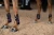 ochraniacze tylne equstrian stockholm  (3).webp