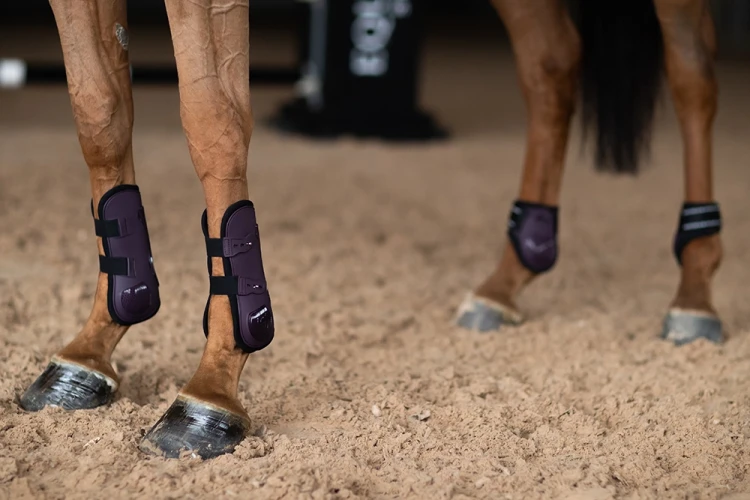 ochraniacze tylne equstrian stockholm  (3).webp