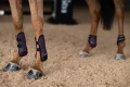 ochraniacze przednie equestrian stockholm  (4).webp
