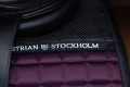black-raven-sportive-czaprak skokowy fioletowy  (3).webp