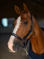 kantar z uwiązem granatowy equestrian stockholm  (2).webp