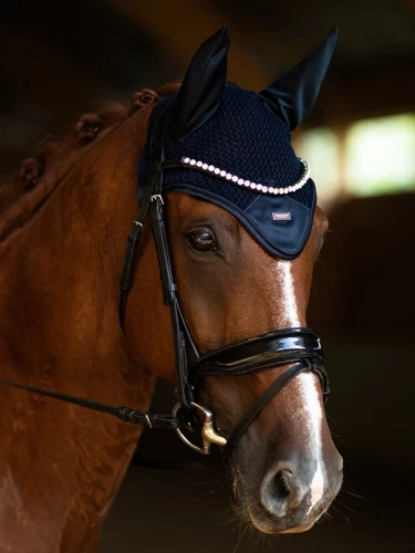 nauszniki granatowe equestrian stockholm  (2).webp