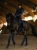 nauszniki granatowe equestrian stockholm  (5).webp