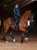 czaprak ujeżdżeniowy granatowy equestrian stockholm  (4).webp