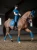 amalfi-coast-czaprak ujeżdżeniowy equestrian stockholm  (4).webp