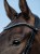 DSC_1799-1_doveblue.jpg
