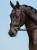 DSC_2152-3_doveblue.jpg