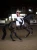 czaprak ujeżdżeniowy biały equestrian stockholm  (3).webp