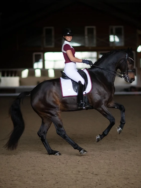 czaprak ujeżdżeniowy biały equestrian stockholm  (3).webp