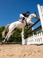 ochraniacze tylne dla konia czarne equestrian stockholm  (3).webp