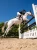 ochraniacze tylne dla konia czarne equestrian stockholm  (3).webp