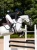 ochraniacze przednie czarne equestrian stockholm  (3).webp