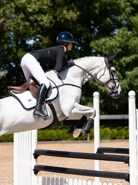 ochraniacze przednie czarne equestrian stockholm  (3).webp