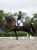 czaprak ujeżdżeniowy biały equestrian stockholm  (2).webp