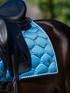 Czaprak Signature Ocean Dressage PS of Sweden