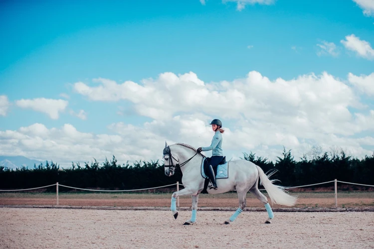 czaprak ujeżdżeniowy ice blue equestrian stockholm  (1).webp