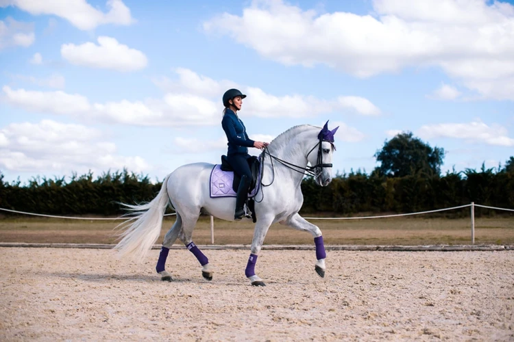 czaprak ujeżdżeniowy lavender equestrian stockholm  (1).webp