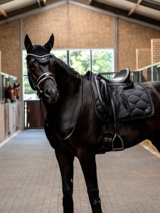 Czaprak Ruffle Black Dressage PS of Sweden