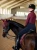 bluza new maroon equestrian stockholm  (4).webp