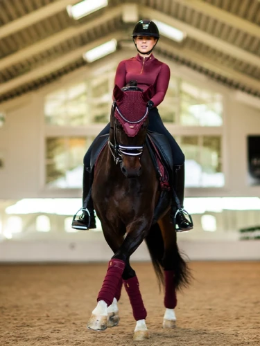 owijki new maroon equestrian stockholm  (2).webp