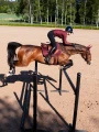 czaprak skokowy ciemnoczerwony new maroon equestrian stockholm  (2).webp