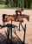 czaprak skokowy ciemnoczerwony new maroon equestrian stockholm  (2).webp