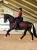 czaprak ujeżdżeniowy new maroon equestrian stockholm  (2).webp