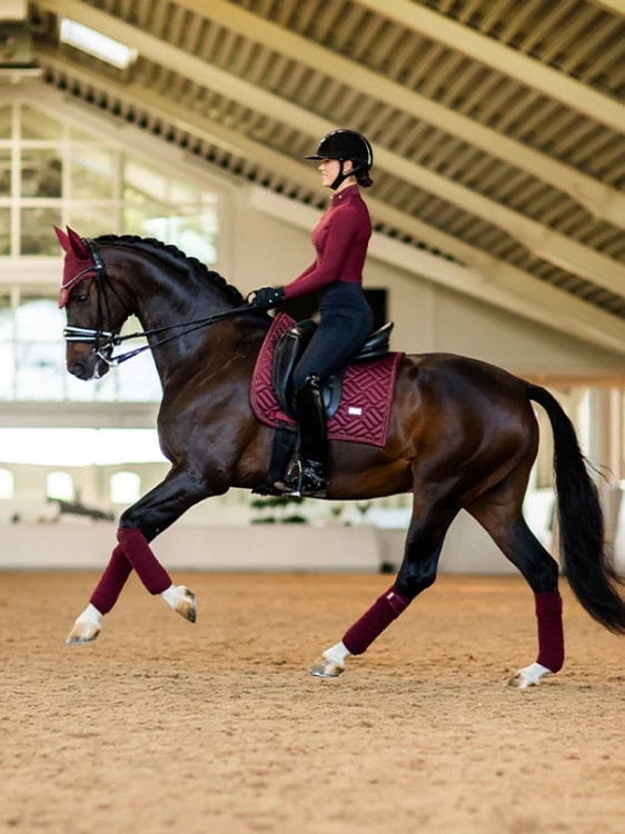 czaprak ujeżdżeniowy new maroon equestrian stockholm  (2).webp