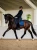 owijki brokatowe polar night equestrian stockholm (1).webp