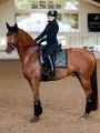 owijki brokatowe northern night equestrian stockholm (1).webp