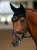 nauszniki brokatowe northern night equestrian stockholm  (2).webp