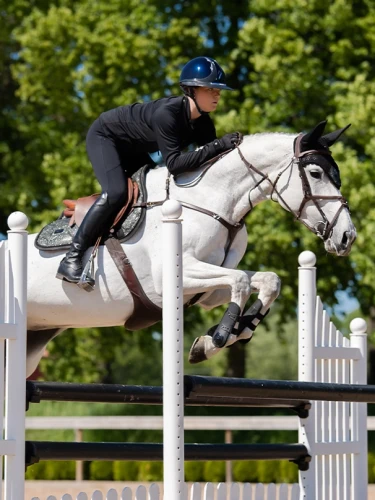 czaprak brokatowy szary zielony equestrian stockholm  (1).webp