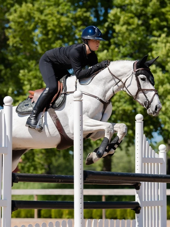 czaprak brokatowy szary zielony equestrian stockholm  (1).webp