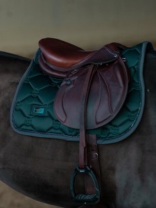 Czaprak Dramatic Monday Jump Equestrian Stockholm