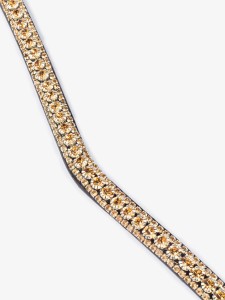 Naczółek Golden Delight PS of Sweden